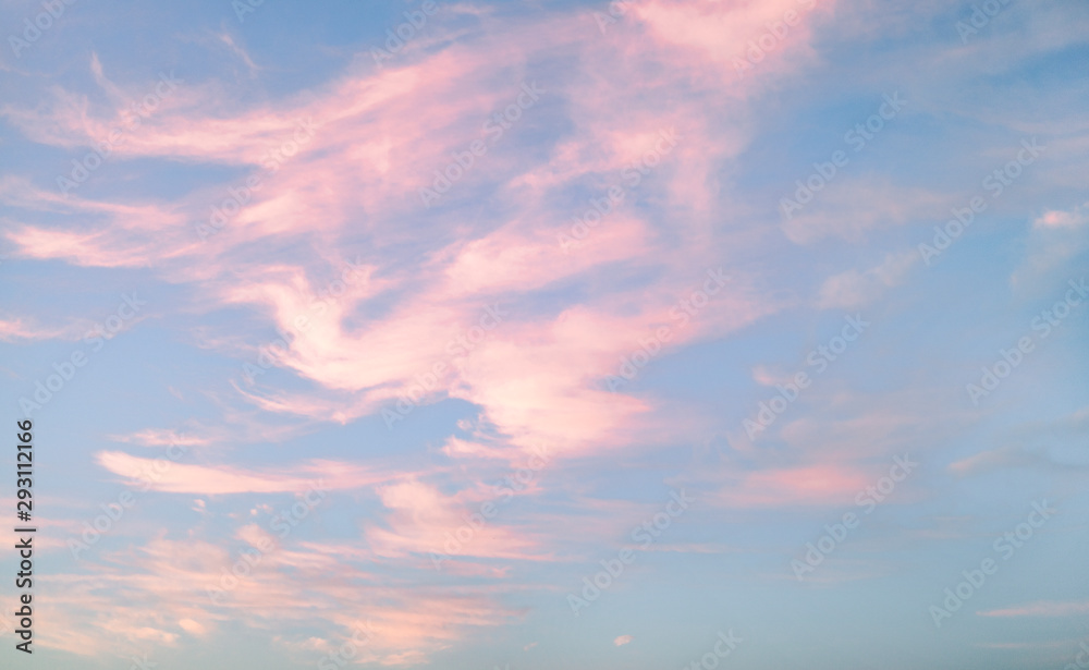 Beautiful pink clouds during sunset, blue sky with clouds background.