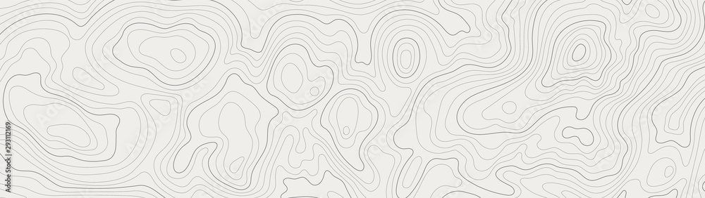 topographic line contour map background, geographic grid map