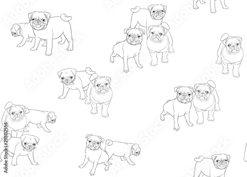 pug patt 2