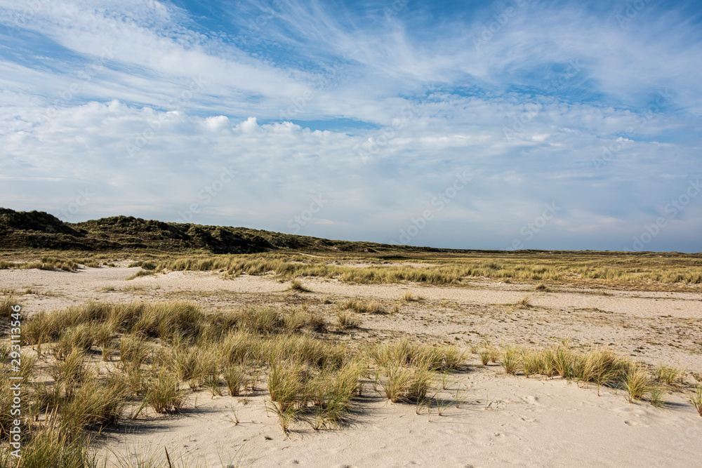 Beautiful tranquil dune landscape and long beach at North Sea