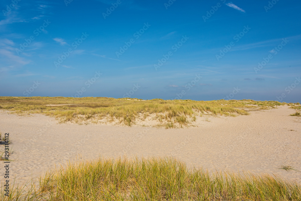 Fototapeta premium Beautiful tranquil dune landscape and long beach at North Sea