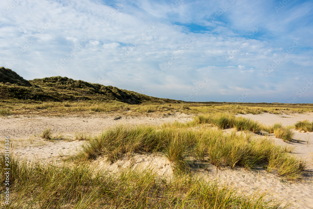 Beautiful tranquil dune landscape and long beach at North Sea