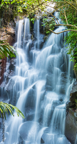 Beautiful cascading waterfall in a dense jungle gully - nature, landscape and natural environment skyscraper vertical banner background image.