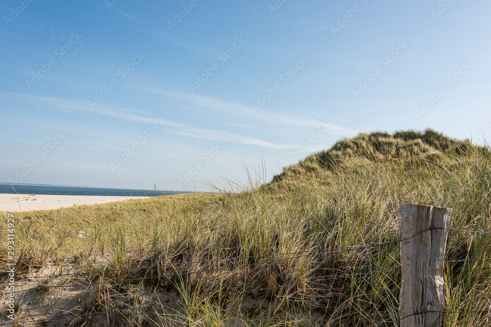 Fototapeta premium Beautiful tranquil dune landscape and long beach at North Sea