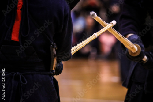 Canvastavla 剣道
