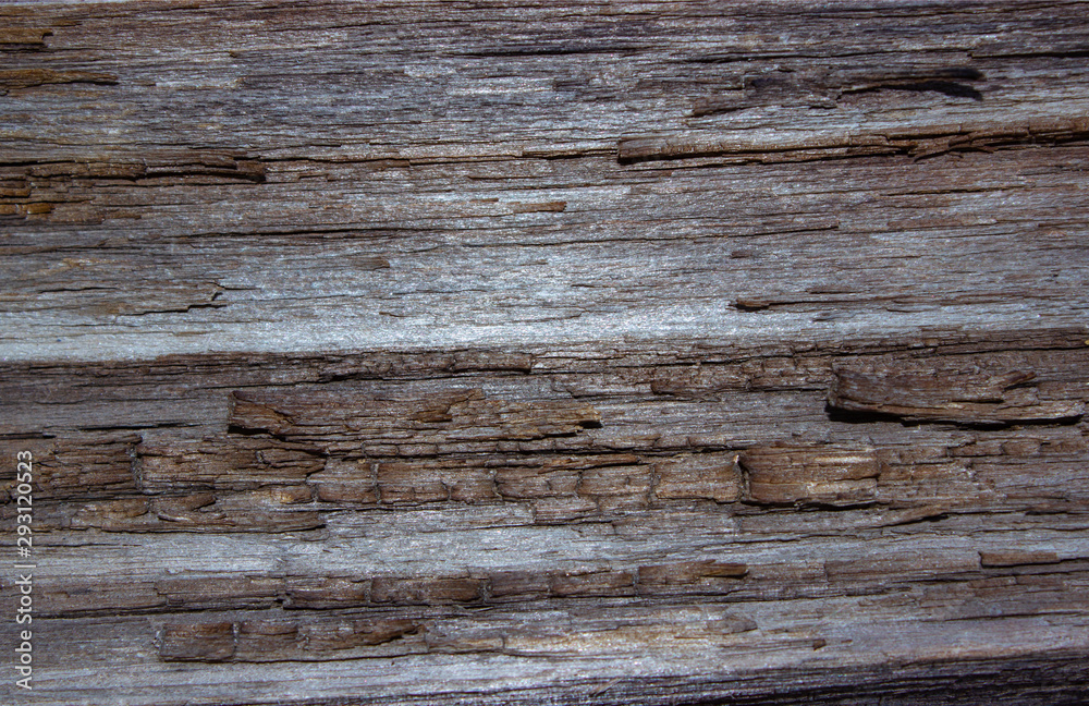 Rotten and weathered wood, Texture of wood background nature Natural Rotten and weathered wood, Texture of wood background nature Natural
