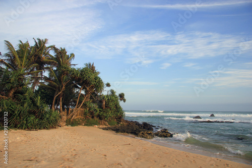 Beach, palm trees, sea, waves, Sri Lanka