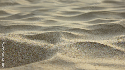 sand on the sea beach