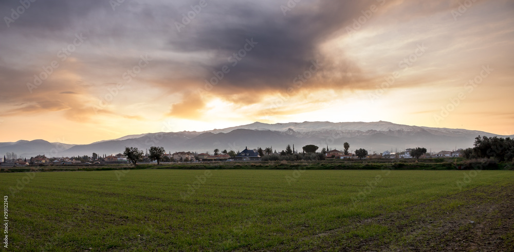 Obraz premium sunrise over green field