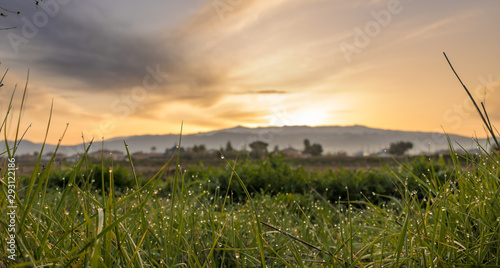 sunrise over field