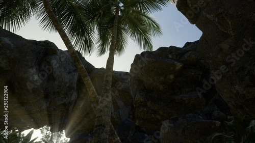 Big Palms in Stone Cave with Rays of Sunlight photo