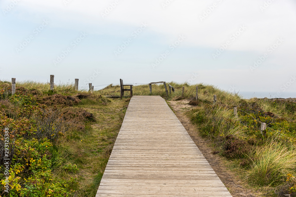 Fototapeta premium Footpath through dunes