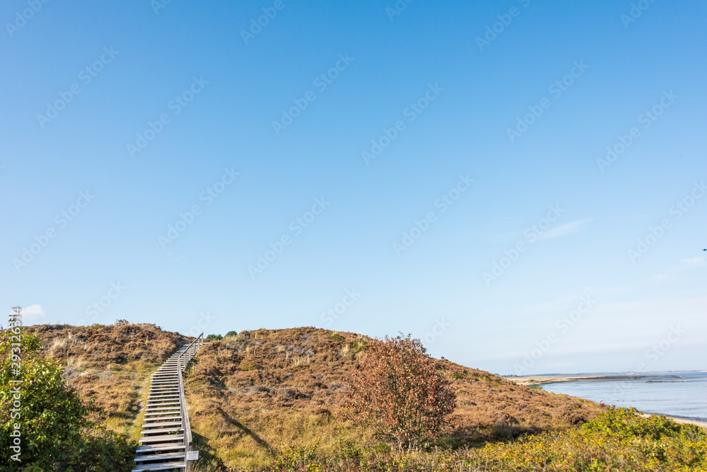 Obraz premium Footpath through dunes