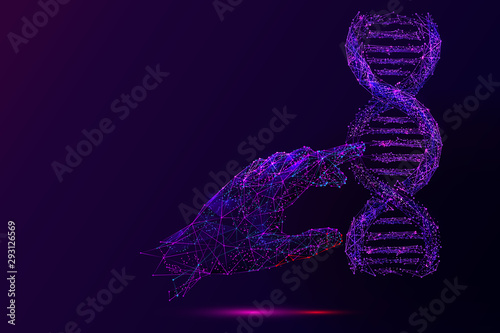 Genetic analysis and research low poly wireframe illustration. Polygonal DNA chromosome analyzing mesh art. 3D scientist hand touching double helix molecule model. Molecular biology science in purple