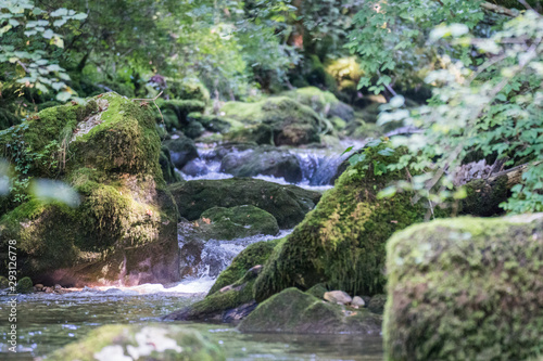 Fly fishing small creeks in Switzerland