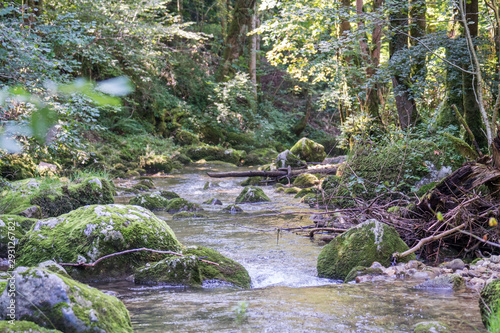Canvastavla Fly fishing small creeks in Switzerland
