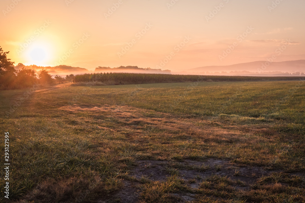 Obraz premium Sunrise over a farm field, Pine Island, NY, early fall