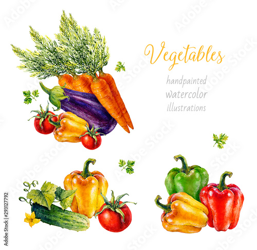 Vegetables. Set of watercolor illustrations