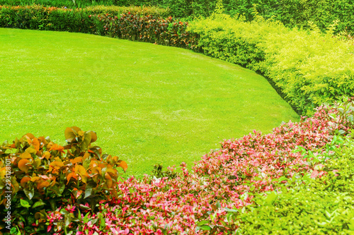 Green lawn, The front lawn for background, Garden landscape design, Yellow flowers in a beautifully designed garden, path in the park