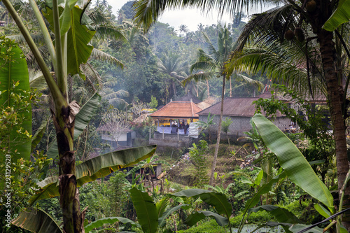 Beautiful landscape of a tropical Indonesian rainforest. Palm trees and a village near photo