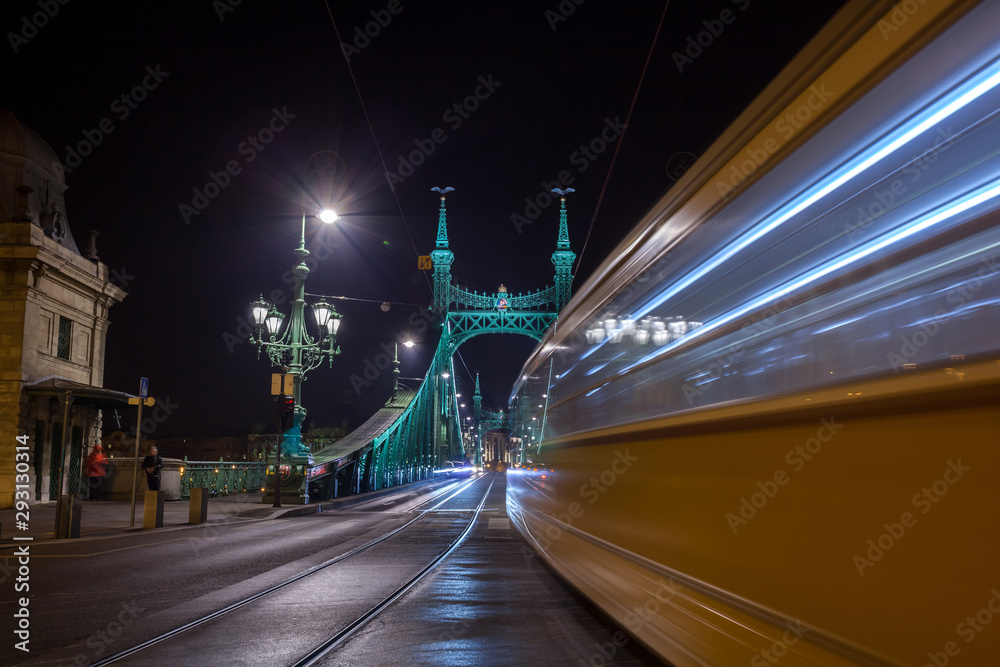 Night view of Liberty Bridge, capital of Hungary.