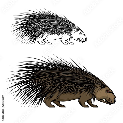Porcupine animal mascot. Wild forest hedgehog icon