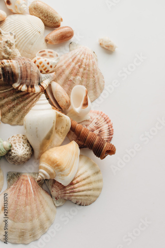 Pile of beautiful sea shells on white background