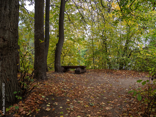 Autumn, riverbank, bench.