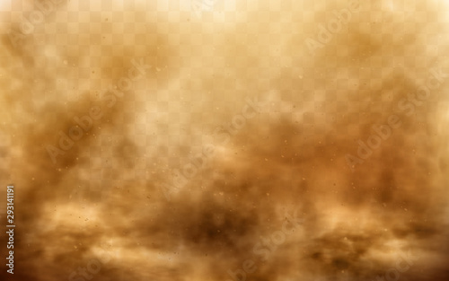Desert sandstorm, brown dusty cloud or dry sand flying with gust of wind, big explosion realistic texture with small particles or grains vector illustration isolated on transparent background