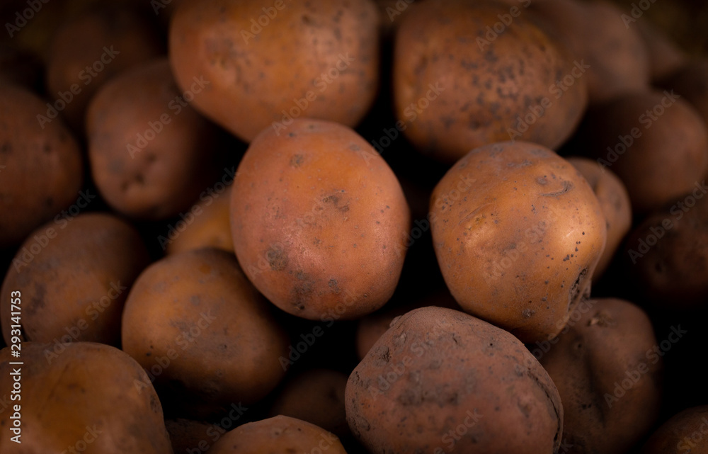 Closeup Abstract Textured Background of a fresh potato Closeup Abstract Textured Background of a fresh potato