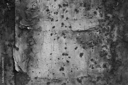 Obraz Zniszczona powierzchnia porysowała teksturę. Czarno-białe tło grunge, łuszczenie farby. Puste miejsce, wolne miejsce