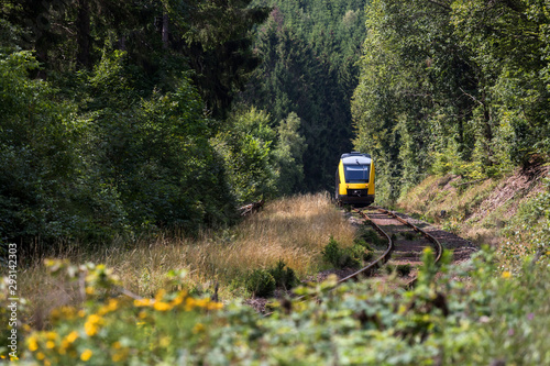 a passenger train in a forest