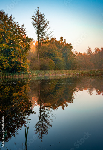 autumn landscape with lake and trees © Krzysztof