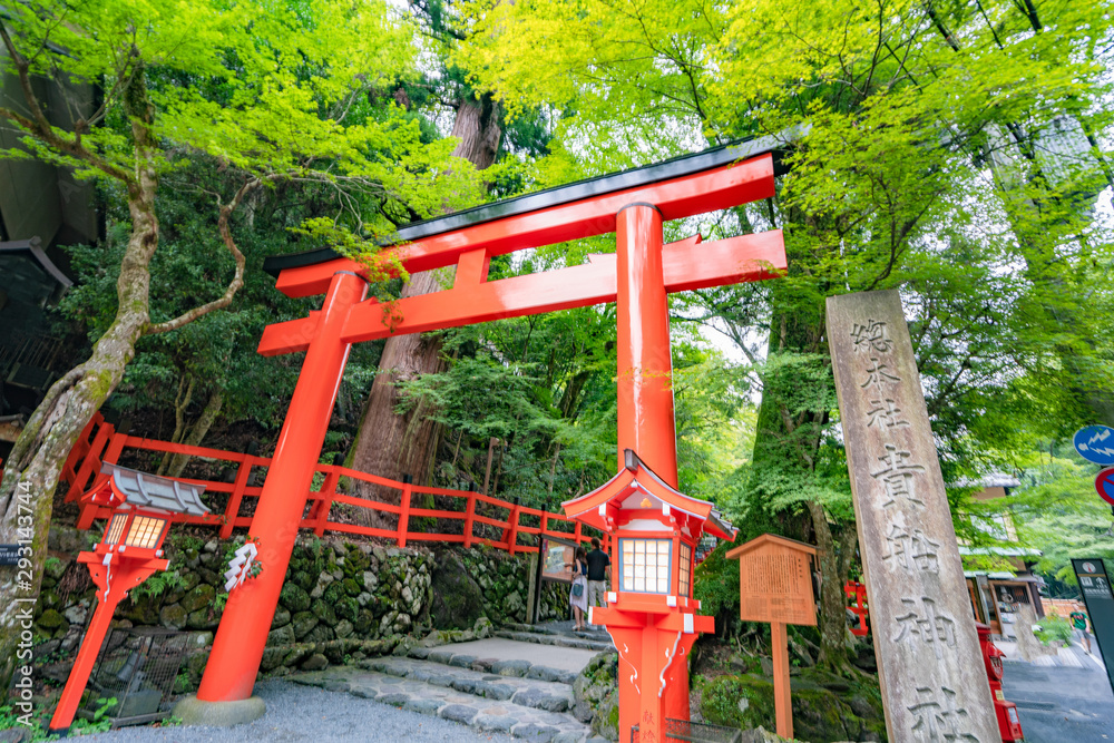 kibune shrine/kibune jinja/torii/kyoto/鳥居/貴船神社/石段/参道/京都寺/パワースポット