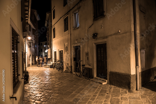 Fototapeta Naklejka Na Ścianę i Meble -  Narrow Alley With Old Houses In The Village Fazana In Croatia