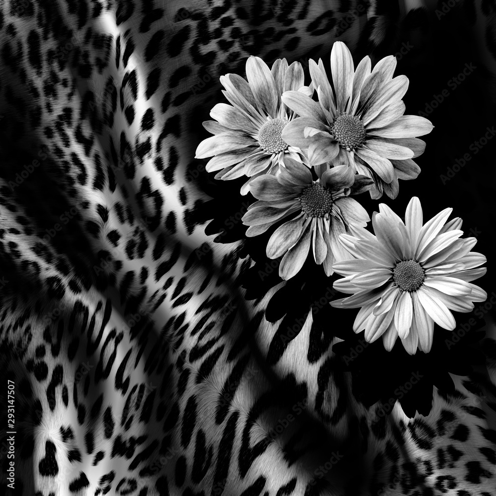 Leopard Pattern. Leopar Print. Leopard Texture. Leopard background