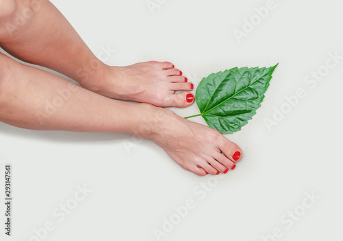 Beautiful female feet with a green leaf on a light gray