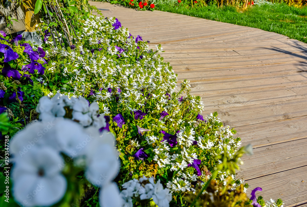 Fototapeta premium beautiful flowerbed in the garden
