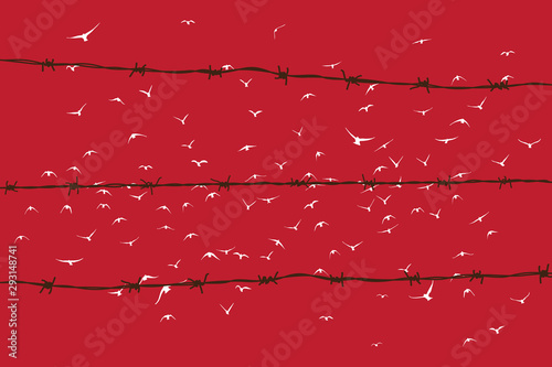 birds flying over broken barbed wire