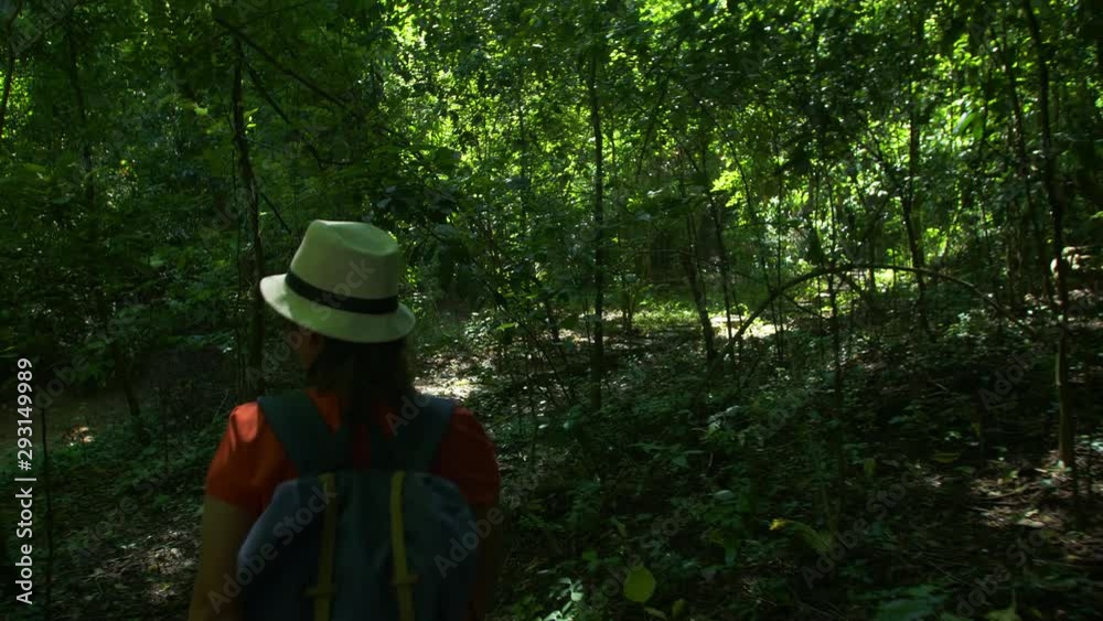 Back view of Backpacker Asian woman walking in forest and sunshine in the morning. Hikers hiking in forest travel adventure Asia Thailand Back view of Backpacker Asian woman walking in forest and sunshine in the morning. Hikers hiking in forest travel adventure Asia Thailand