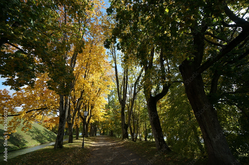 Fototapeta premium Walking around in Nesvizh Park