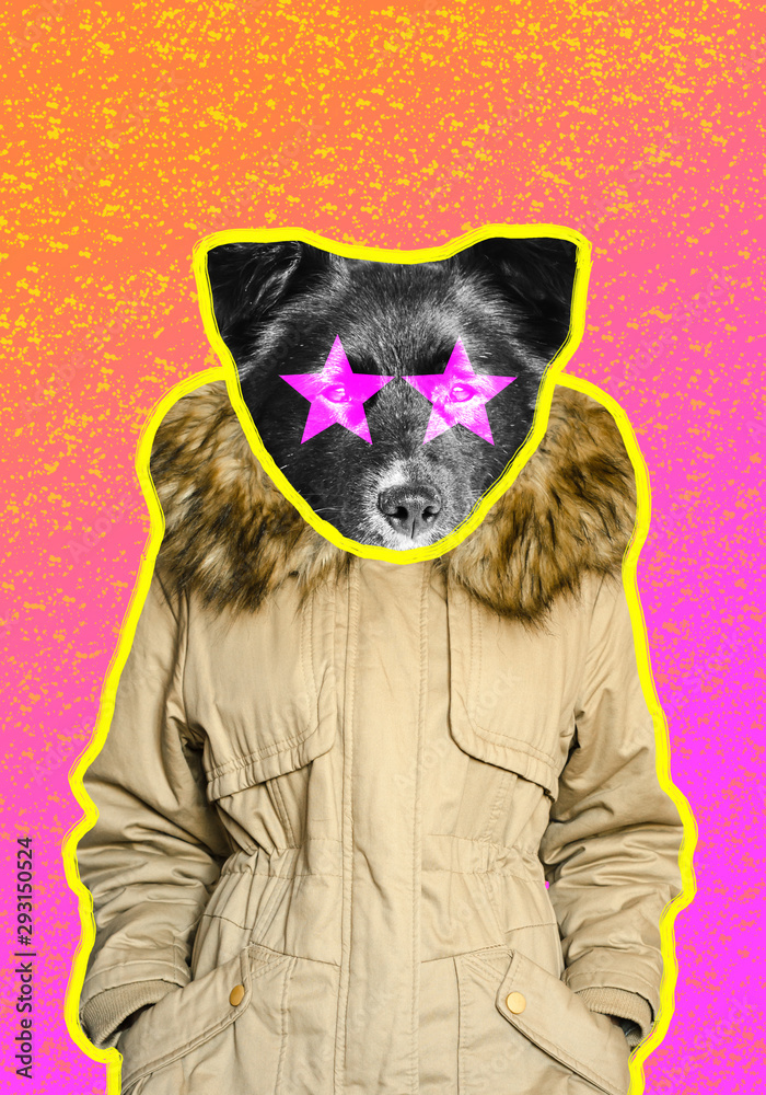 Funny black dog in a parka jacket on gradient background contemporary art  collage Stock Photo | Adobe Stock