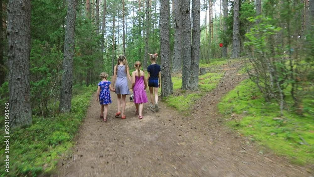 Four little girls walking holding hands along a trail through the summer forest with a dog - summer children activities concept Four little girls walking holding hands along a trail through the summer forest with a dog - summer children activities concept
