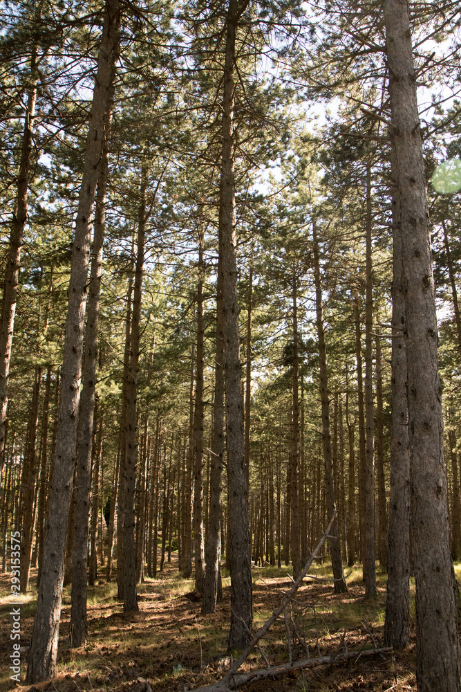 Naklejka premium nature landscape with mountains with sunset