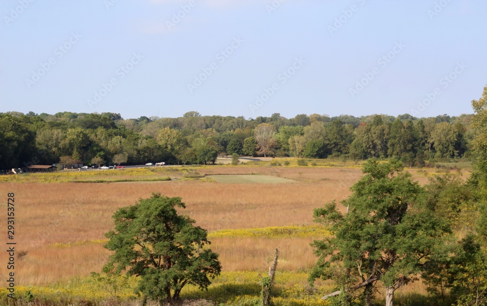 The dry yellow grass field on a sunny summer day. The dry yellow grass field on a sunny summer day.
