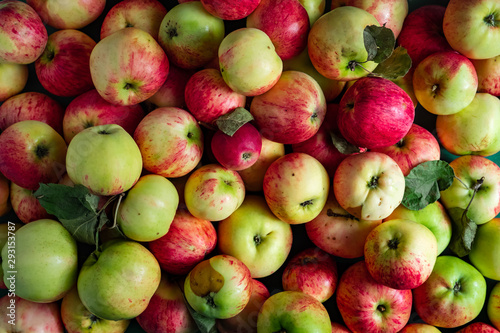 Large heap of ripe apples background