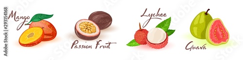 Exotic ripe fruits in line mango, passionfruit, lychee, guava. Source of vitamins and antioxidants. Summer juicy snack. Cartoon vector set isolated on white for menu, recipe, packing.