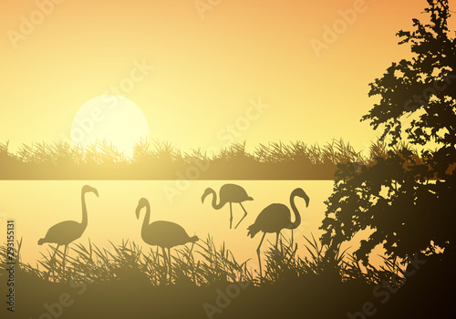 Realistic illustration of wetland landscape with river or lake, water surface and birds. Flamingo and stork flying under orange morning sky with rising sun, vector
