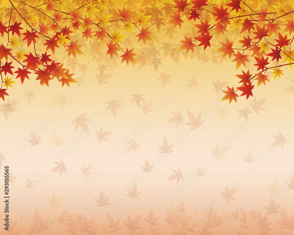 秋の紅葉 秋の紅葉