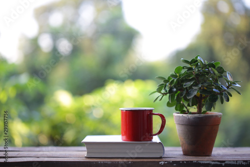 Red coffee mug with small plant in old brown pot with white thick book on wooden table at outdoor